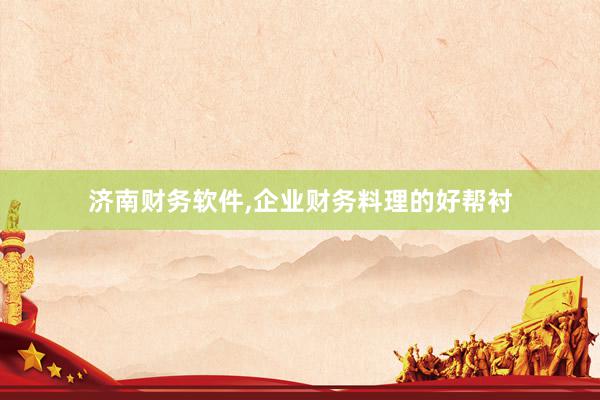 济南财务软件，企业财务料理的好帮衬