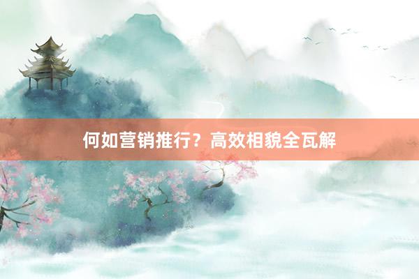 何如营销推行？高效相貌全瓦解