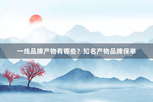 一线品牌产物有哪些？知名产物品牌保举