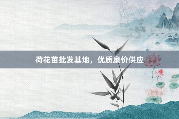 荷花苗批发基地，优质廉价供应