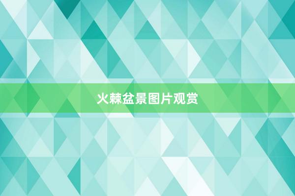 火棘盆景图片观赏